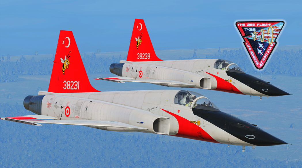 Türk Hava Kuvvetleri 121. Arı Filo - Turkish Air Force 121st "Arı" (Bee) Squadron 