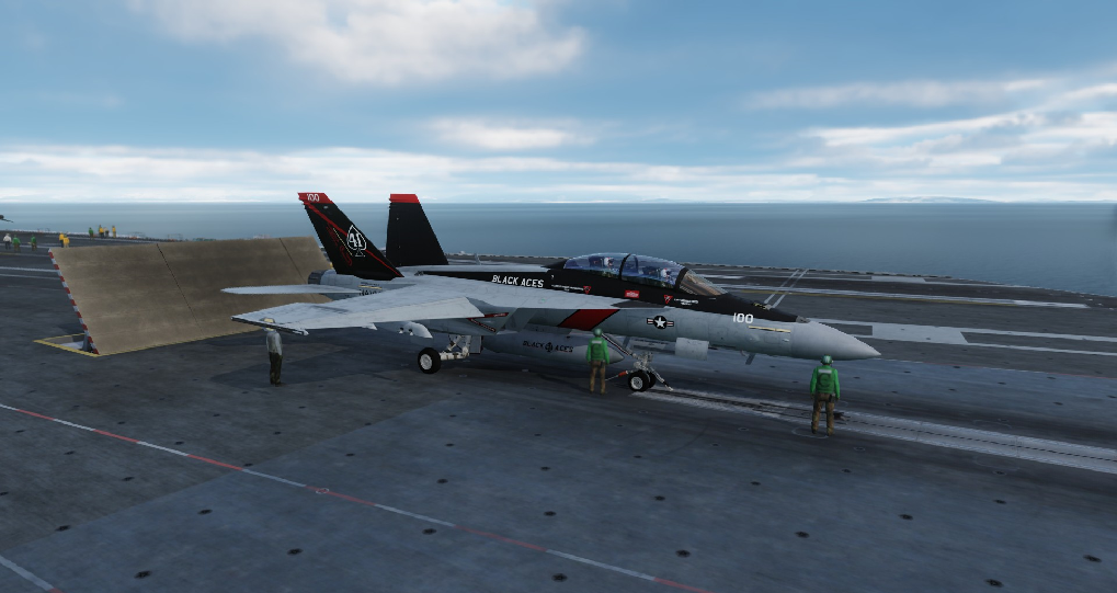VFA-41 F-18F Skin Pack 