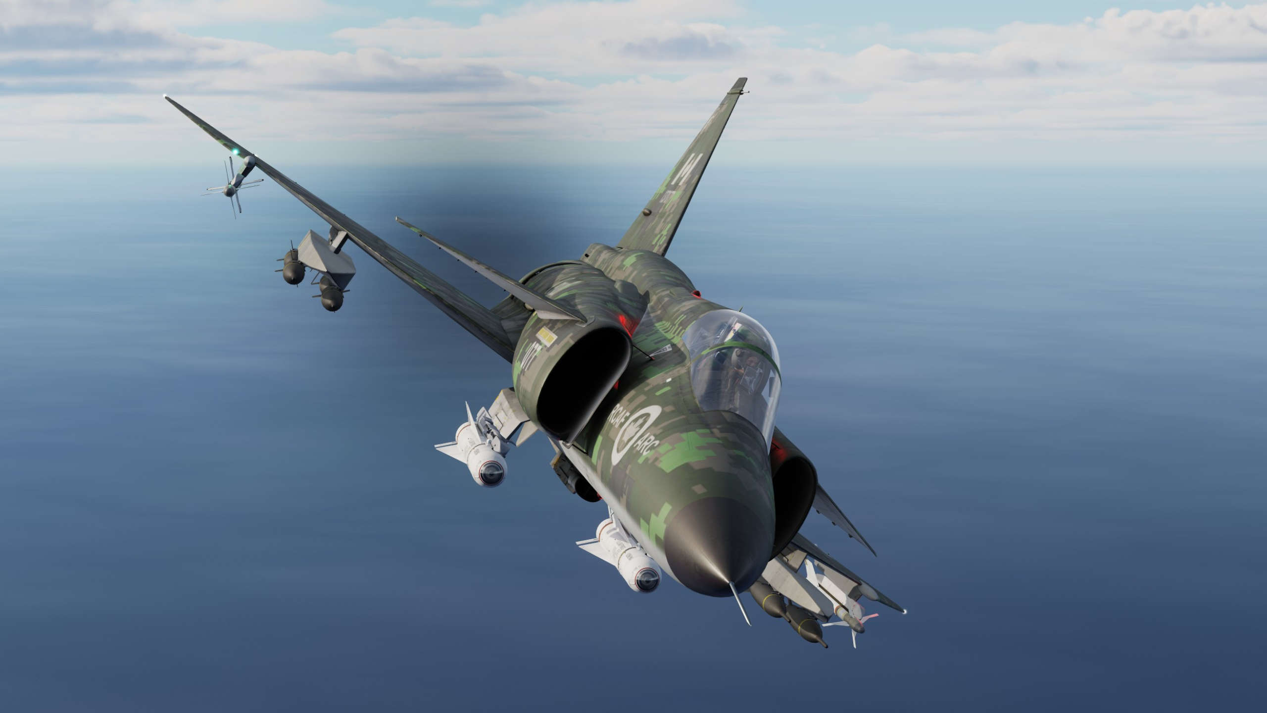 CadPat Viggen