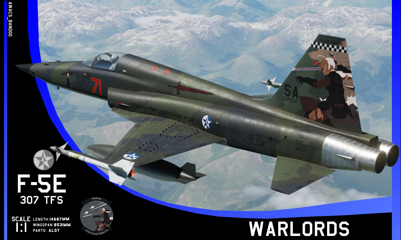 Ace Combat - 307th Tactical Fighter Squadron 'Warlords'