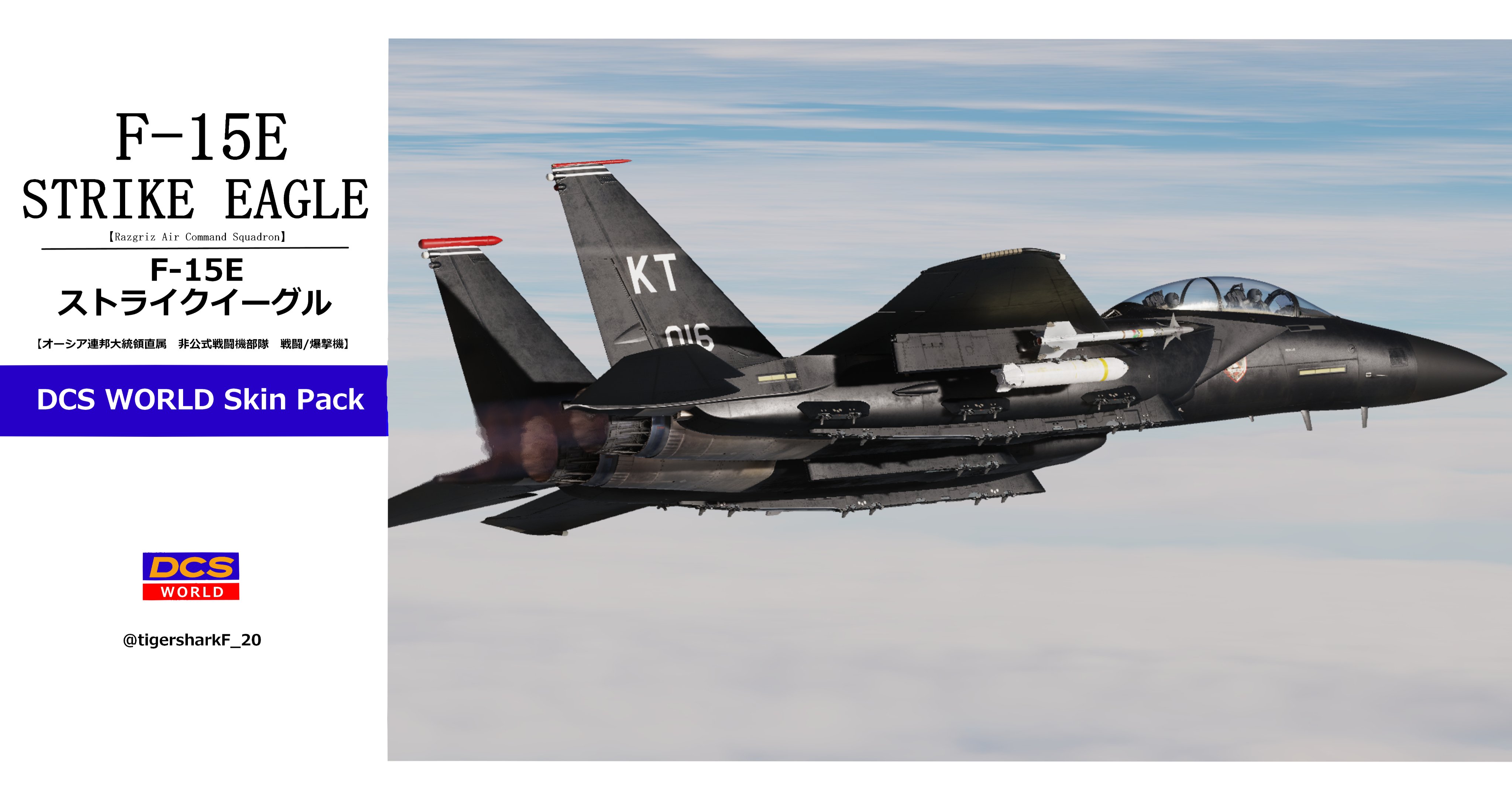 Acecombat5 Razgriz　F-15E skin Pack