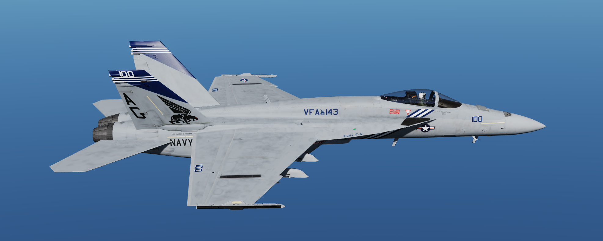 CJS F/A-18E -- VFA-143 CAG AG100 OIF 2016 by Gunslinger22