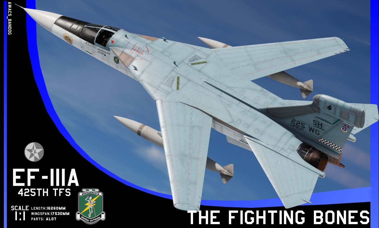 Ace Combat - 425th Tactical Fighter Squadron 'The Fighting Bones' Shenandoah Air National Guard EF-111A