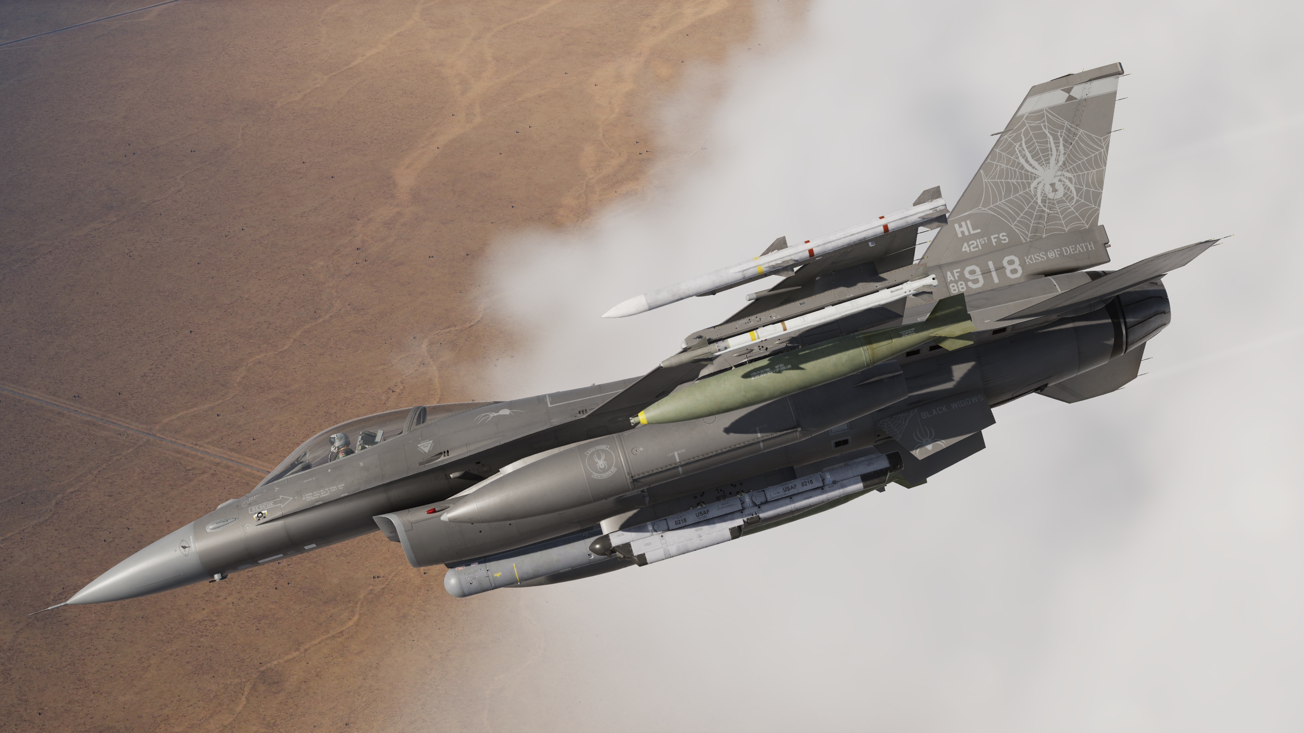 421st Fighter Squadron "Black Widows" Have Glass V 2.0 - Gray Tail