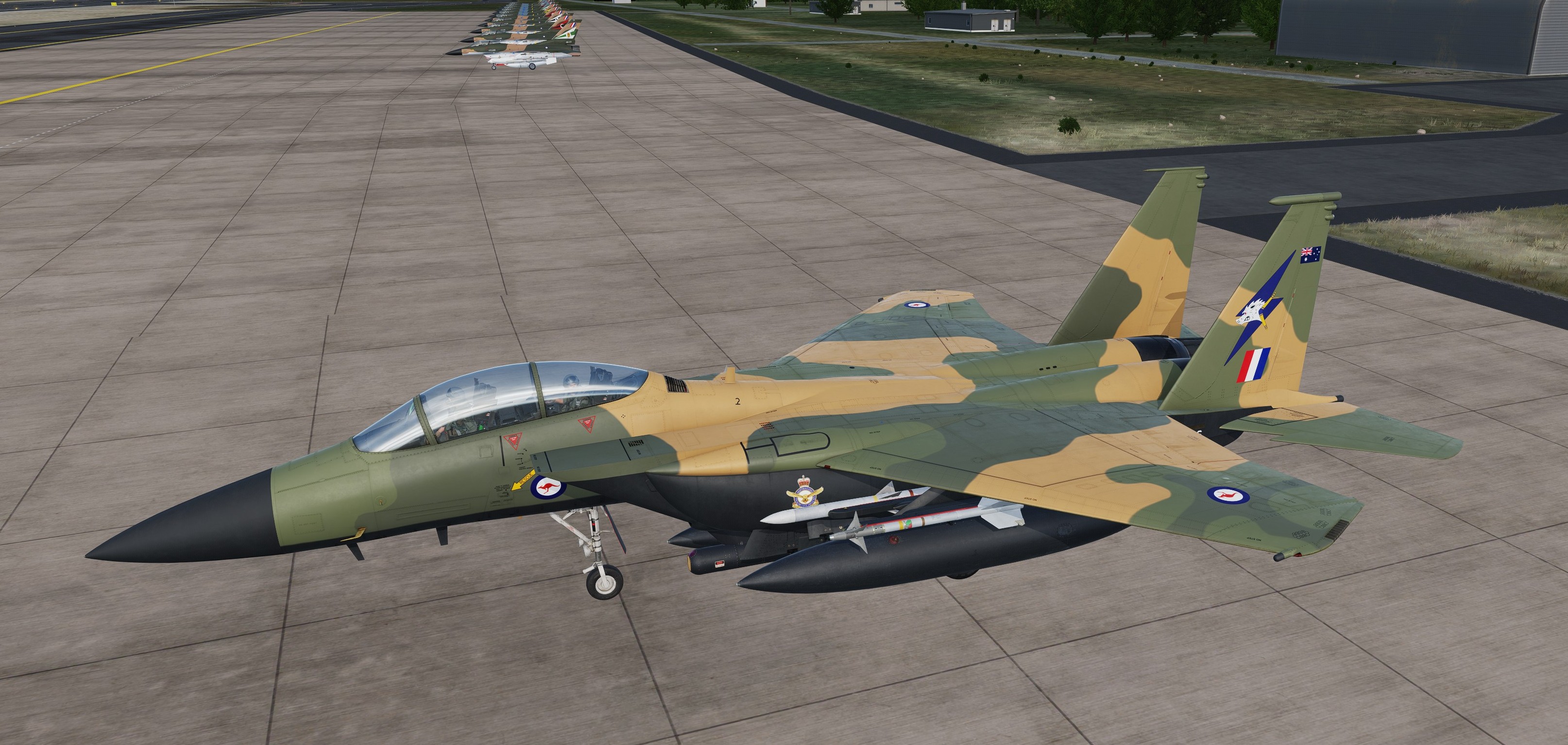 F-15E-SE : RAAF 1 Sqn & 6 Sqn Camouflage Scheme