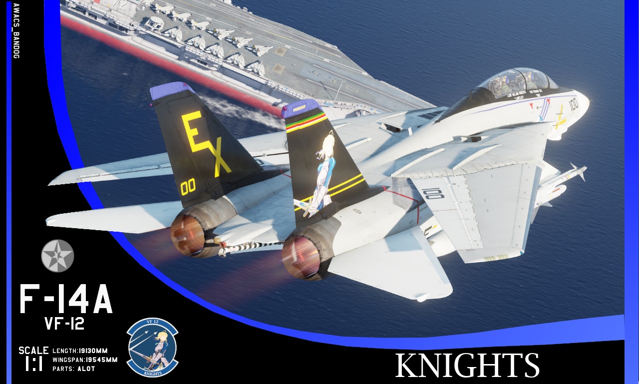 Ace Combat - Fighter Squadron 12 "Knights" (1976)