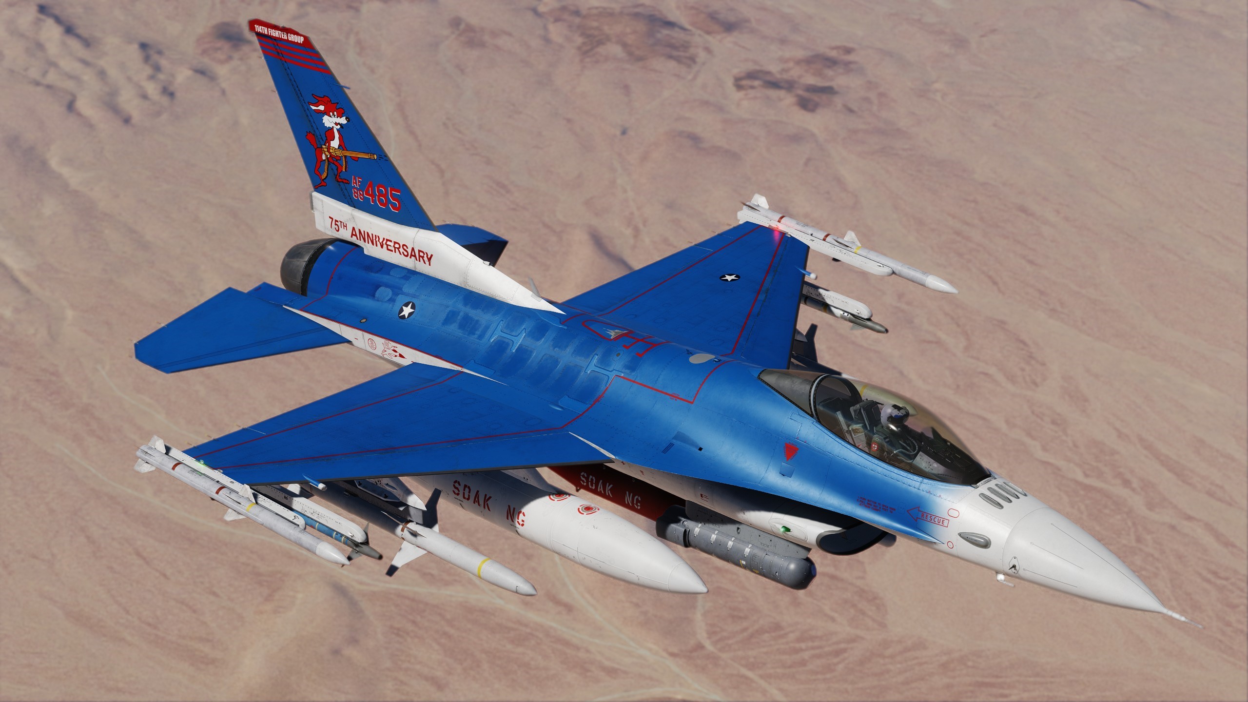 USAF 114th FS 75th Anniversary