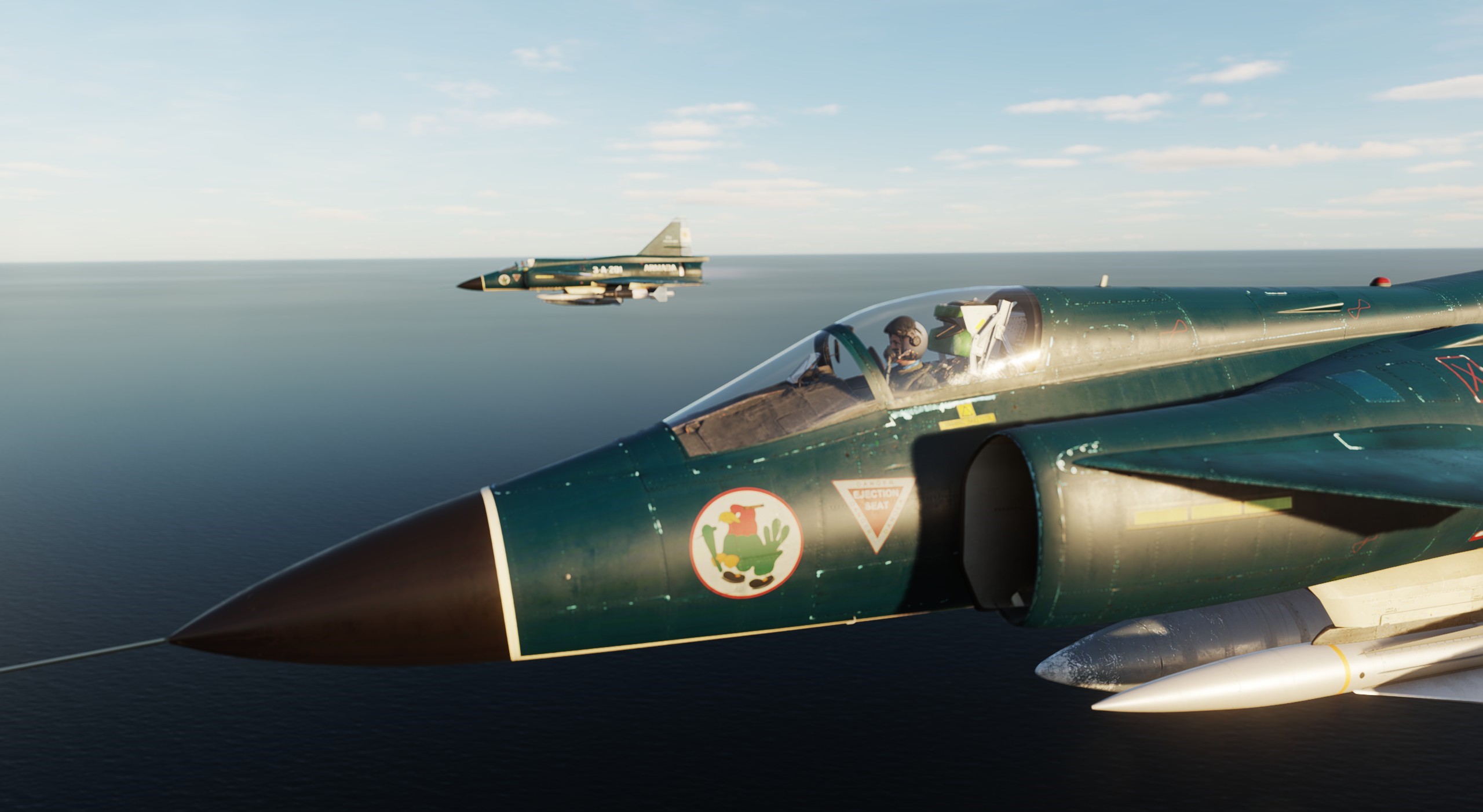 Armada Argentina Super Étendard (Weathered) - AJS37 Viggen