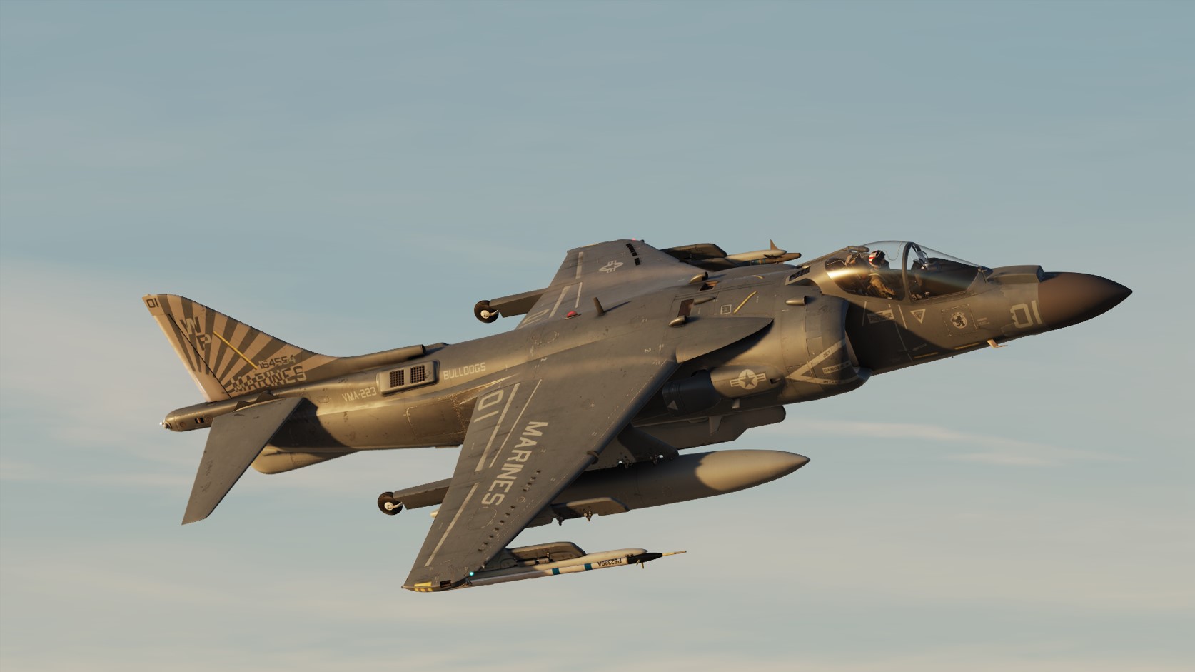 VMA-223 164554 Low Vis color jet