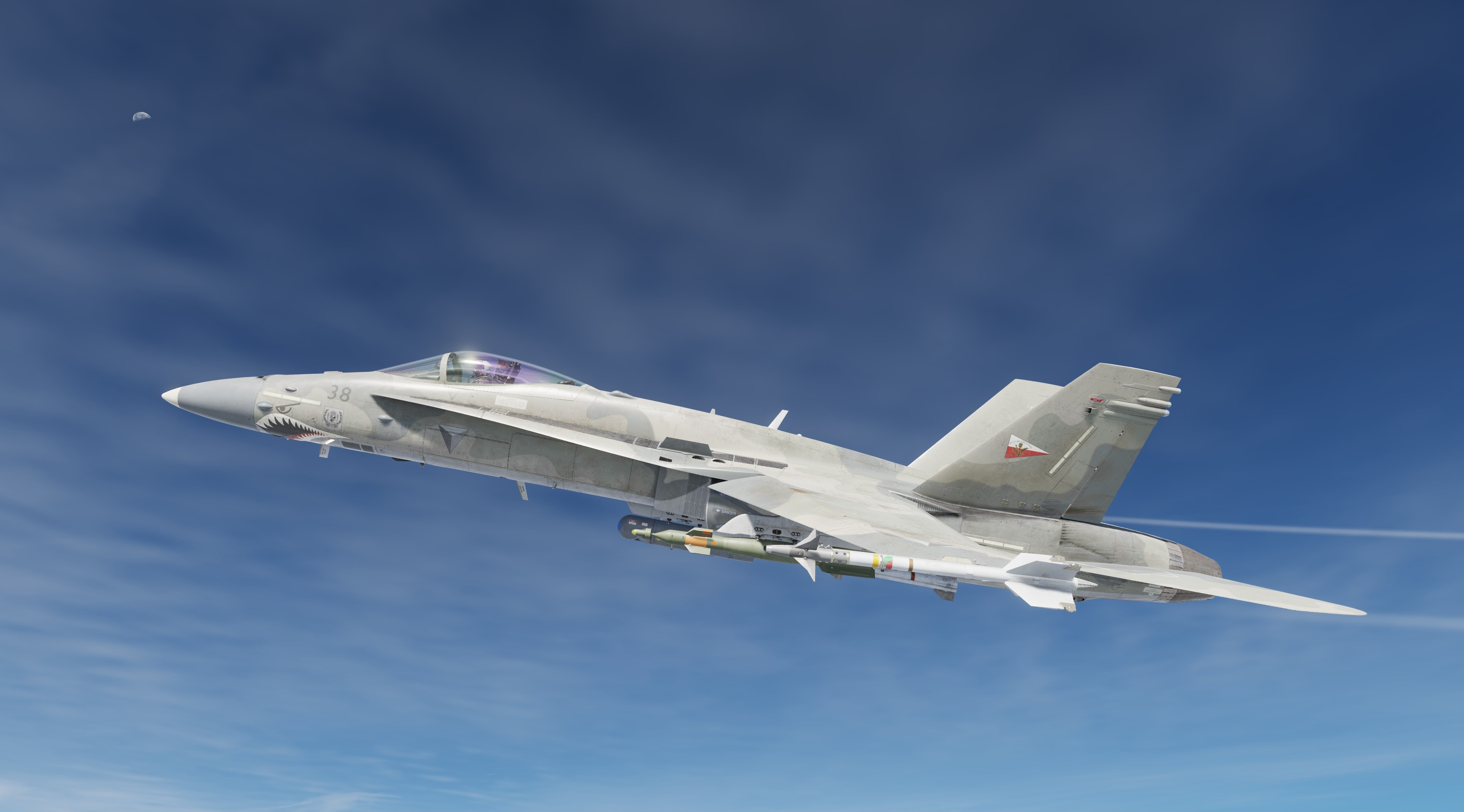 ACE COMBAT - F-18C - Nordennavic Royal Air Force - Sqn "Languedoc" V2 SPA 38