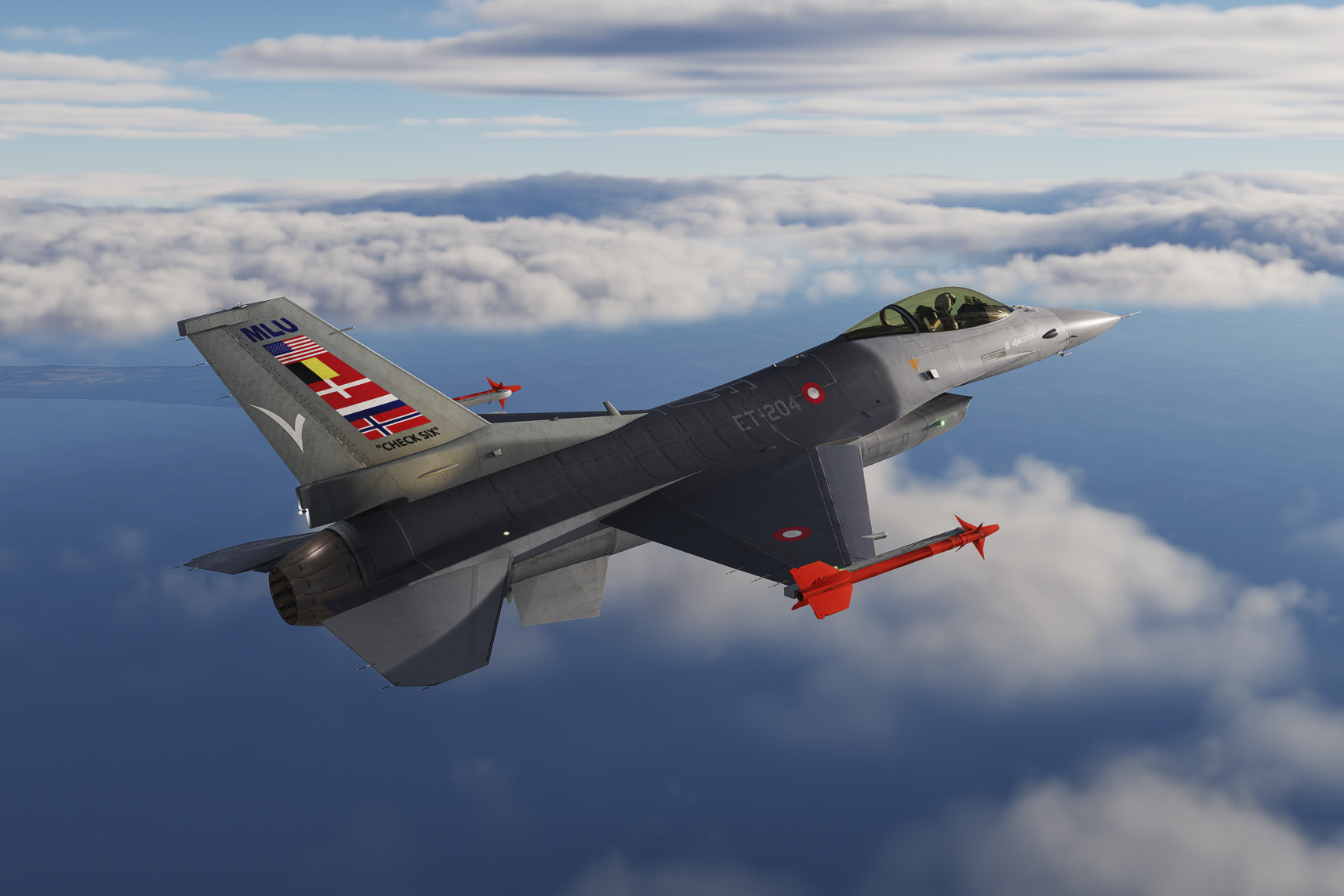 RDAF ET-204 MLU - Mid-Life Update 