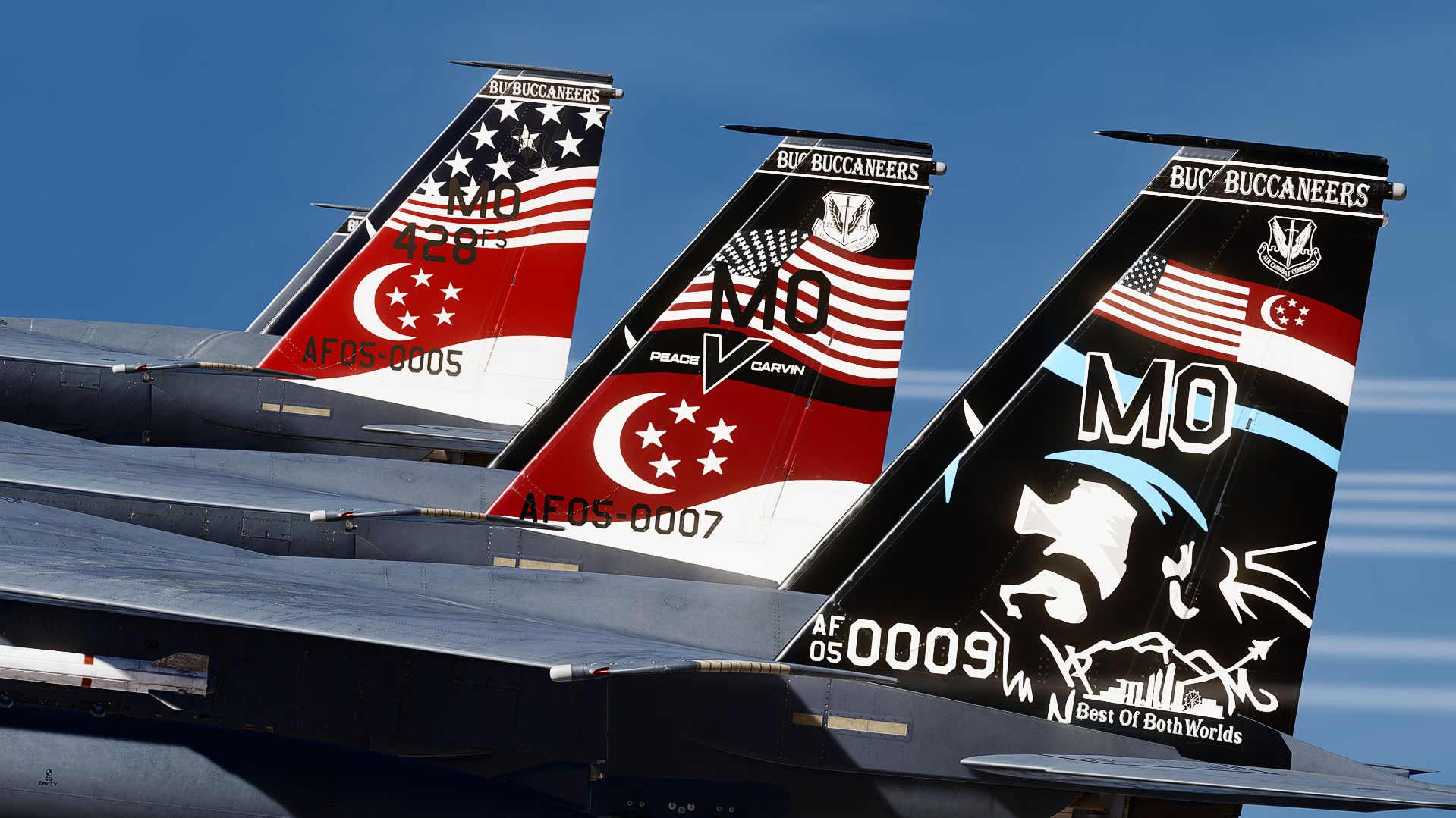 USAF 428th Fighter Squadron "Buccaneers" PACK