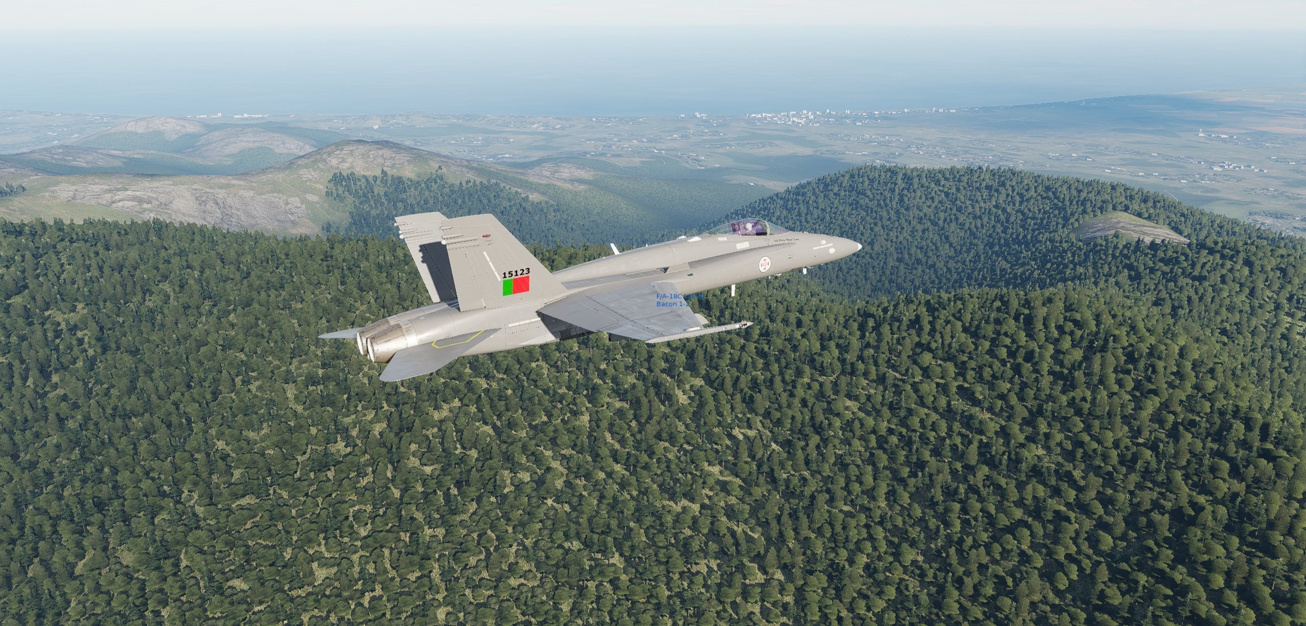 FA/18C - Hornet  - Portugal Fictional Livery