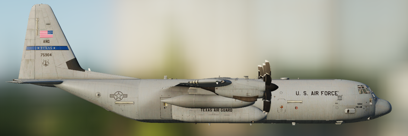 USAF 136th Airlift Wing ANG FWT 