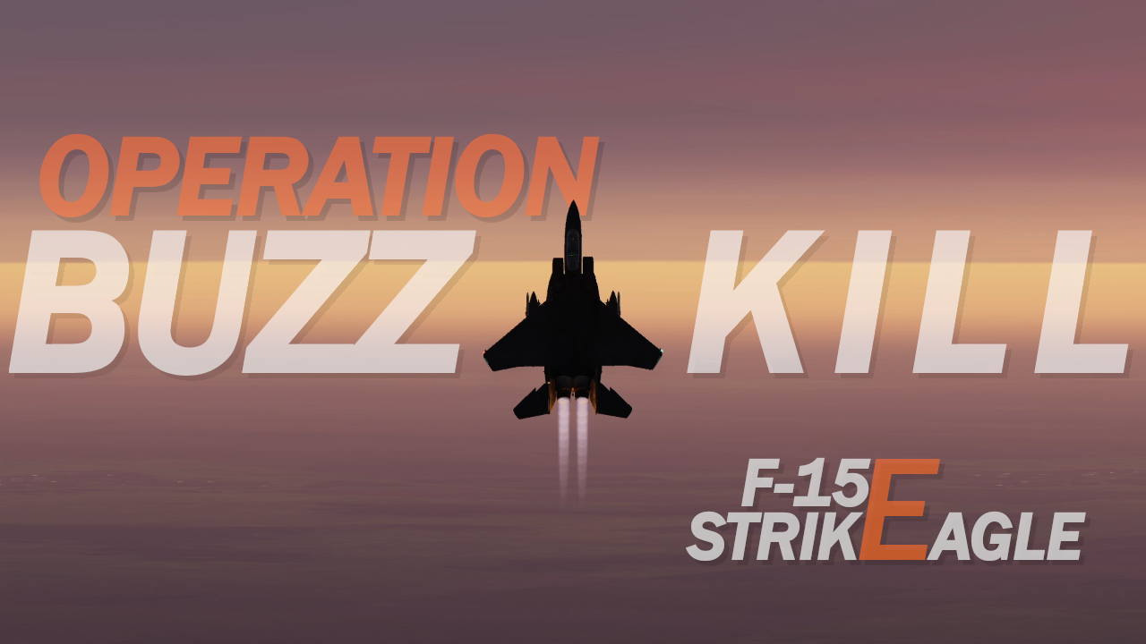 F-15E Strike Eagle | Operation: Buzz Kill