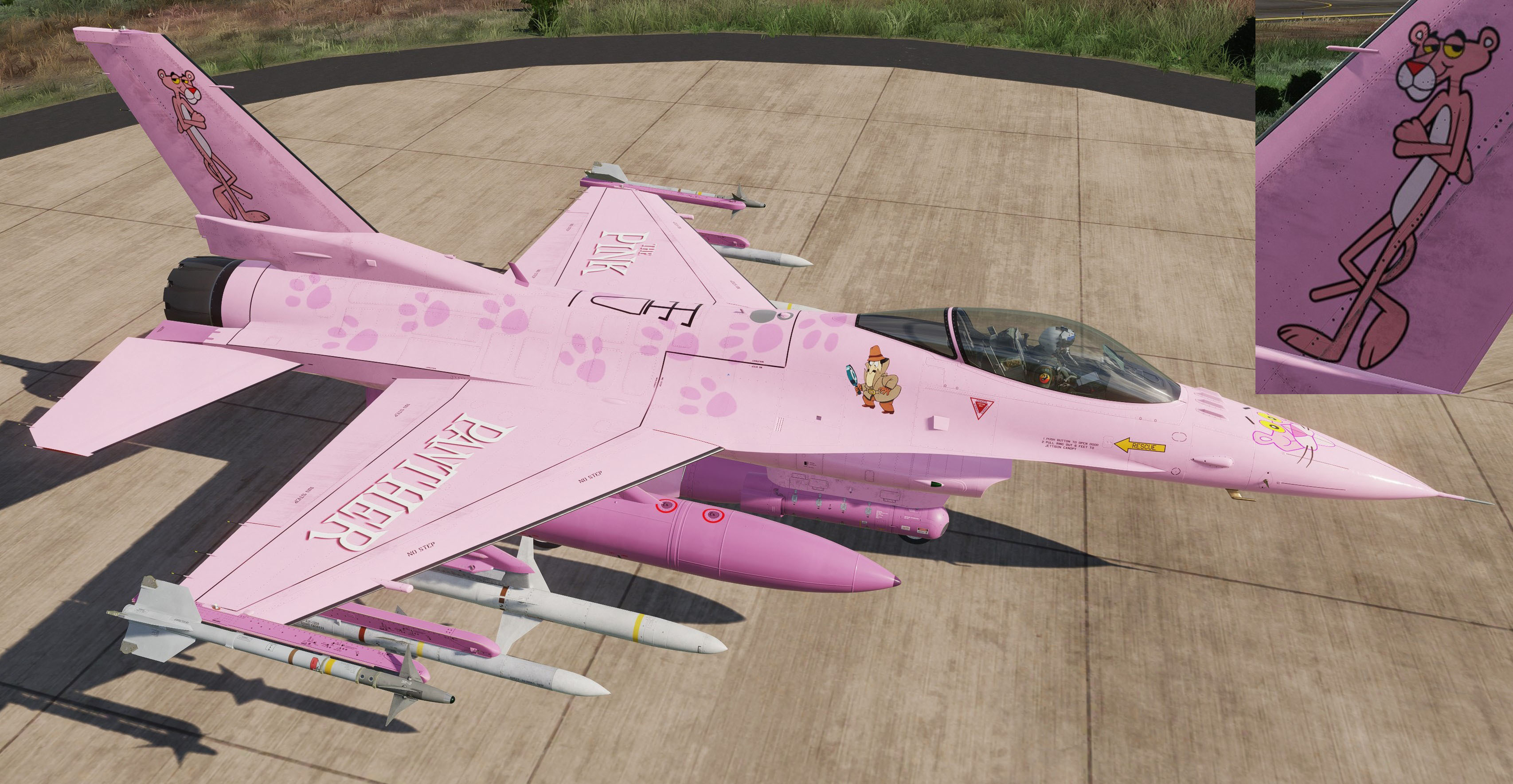 F-16C_50 : Pink Panther