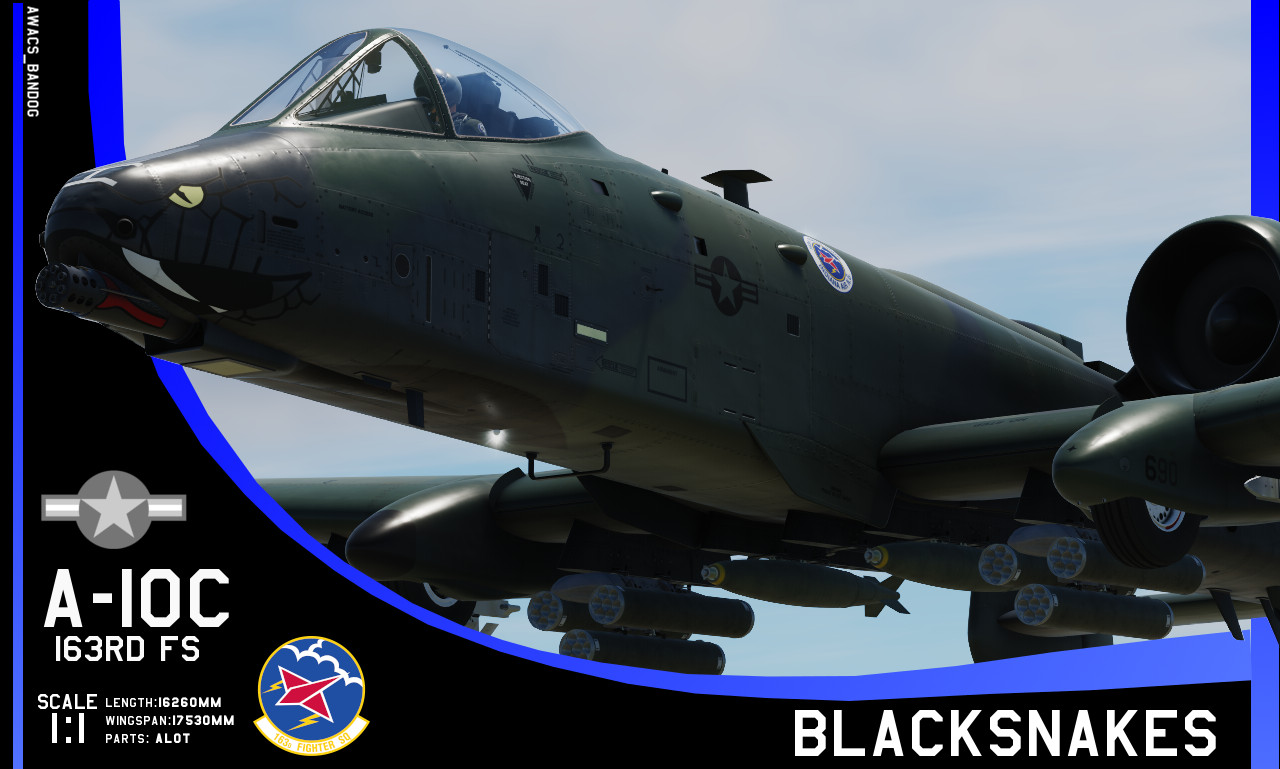 163rd Fighter Squadron 'Blacksnakes' A-10 Euro One Pattern