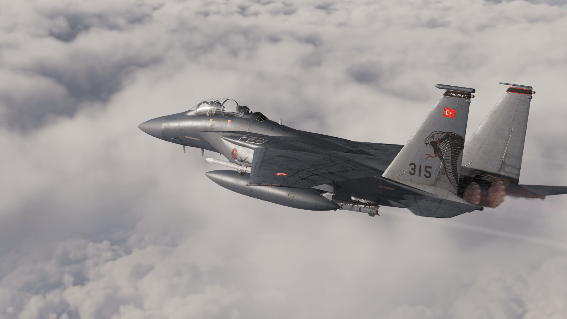 F-15E TurAF 191st Kobralar (Cobras)