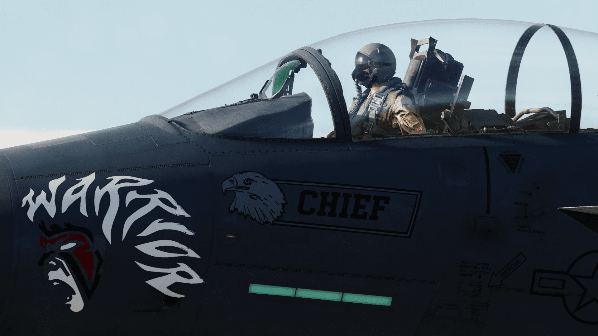 F-15E Strike eagle LN 91-314 "Chief"