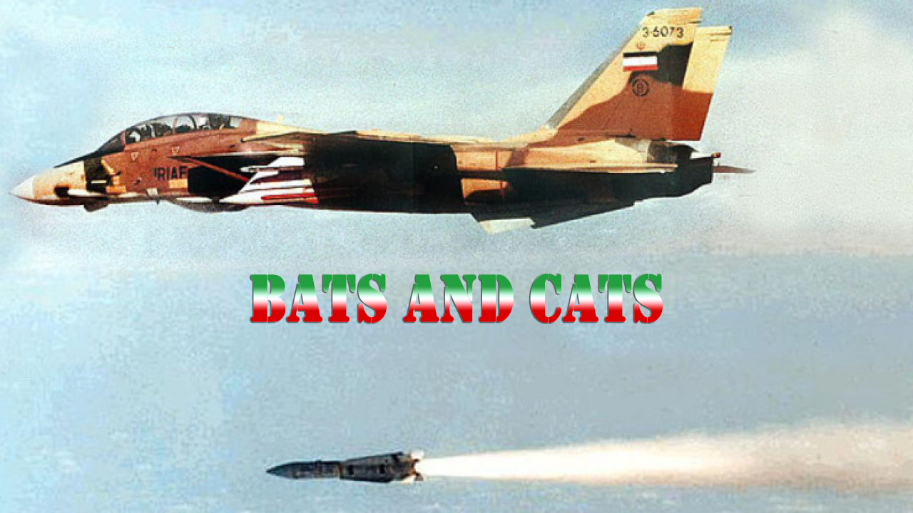 Iran-Iraq War: Bats and Cats