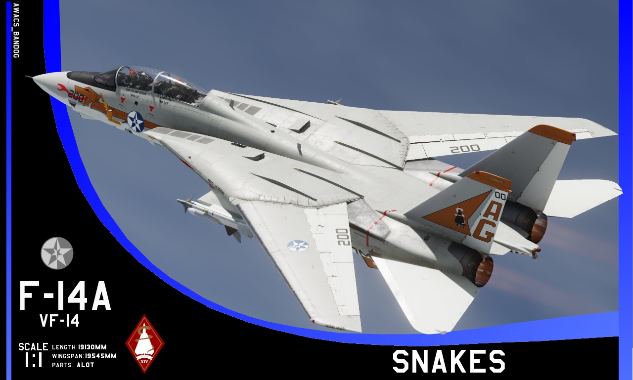 Ace Combat - Fighter Squadron 14 "Snakes" 1976