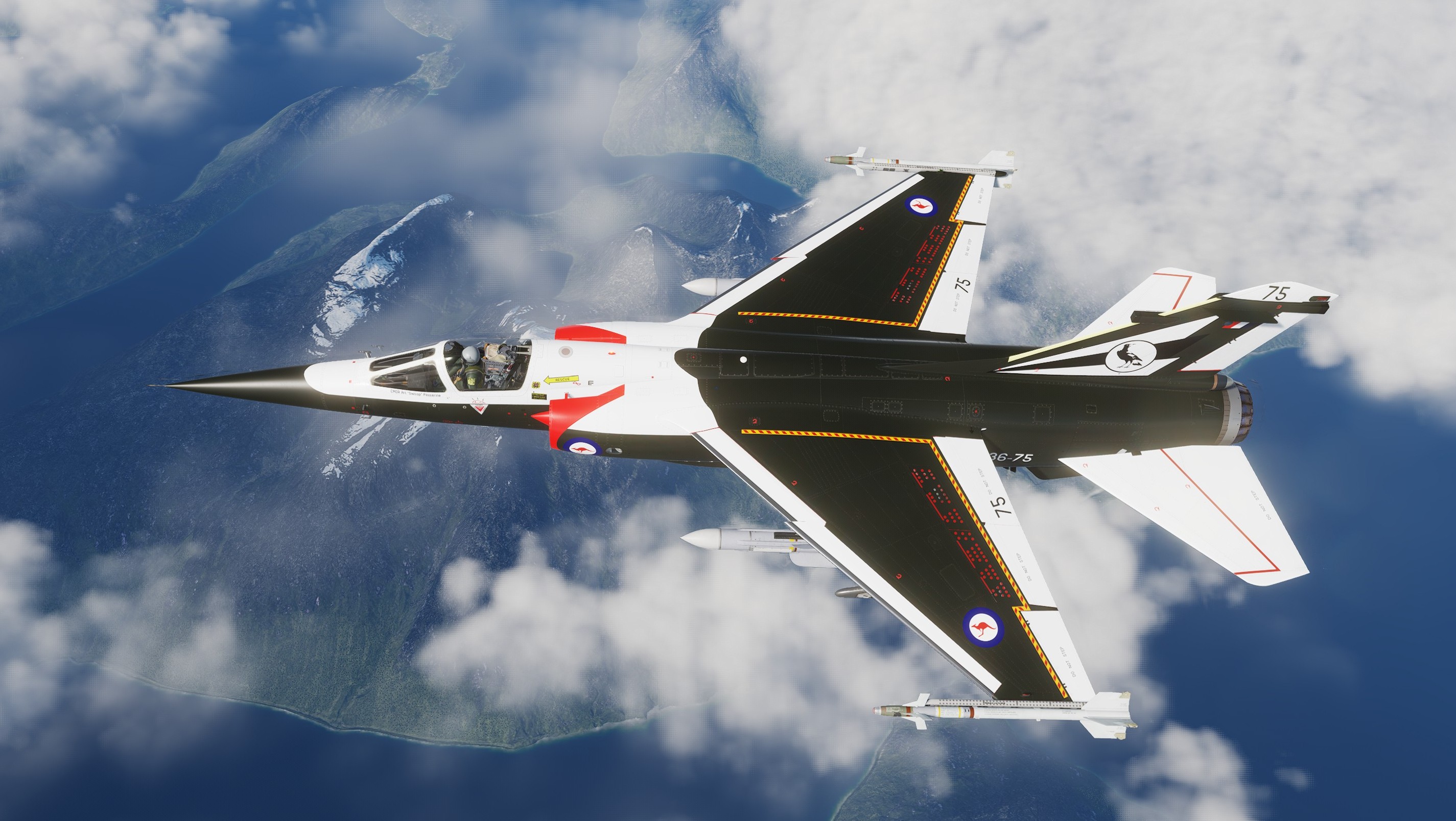 Mirage F-1EE and Mirage F-1BE - RAAF 75 Sqn - Magpie