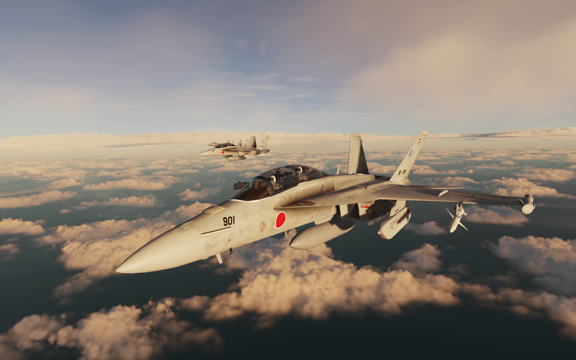 EA-18G Growler Superbug Mod JASDF Air Development and Test Wing