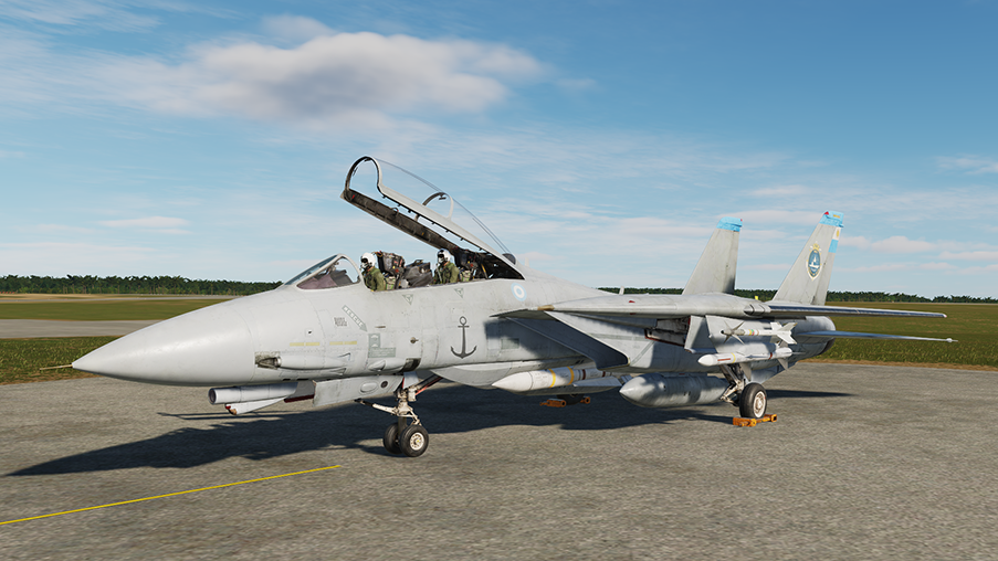 Argentine Navy F-14A fictional livery