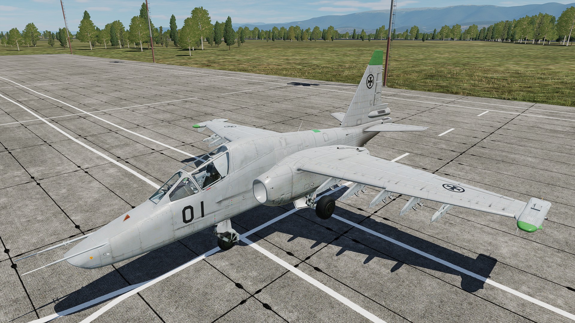 Su-25T Georgian Air Force New Livery