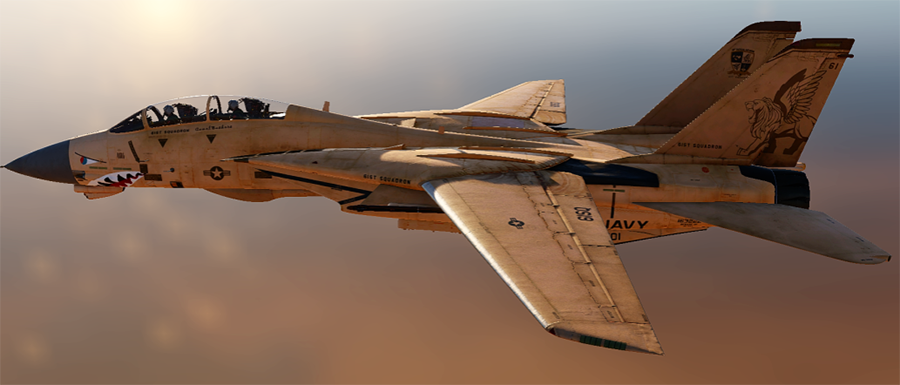 F-14b 61st Sqdn Camel Bashers Desert Pink Livery
