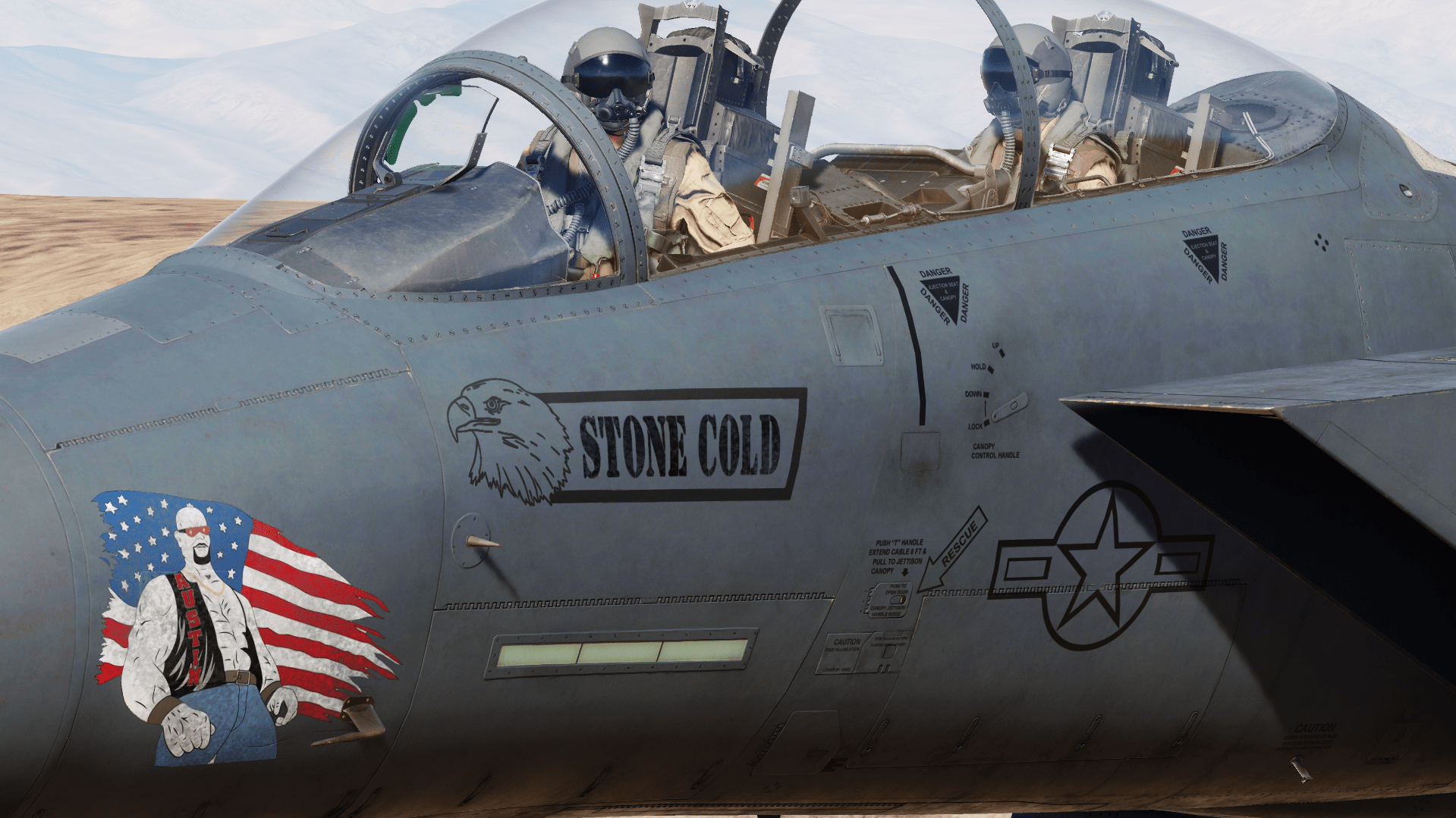 F-15E Strike eagle LN 00-3003 "Stone Cold"