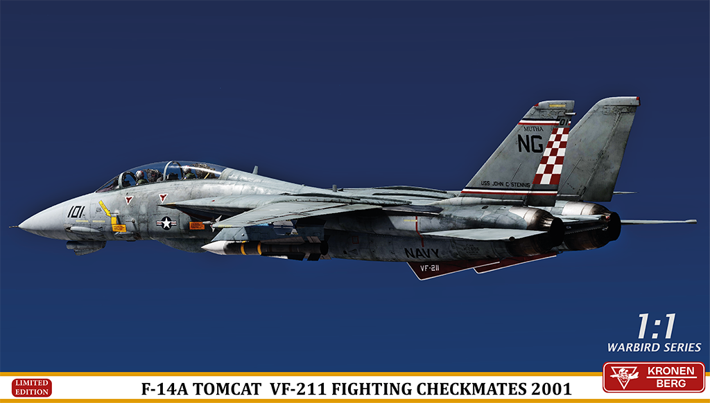 VF-211 2001 Livery Pack 