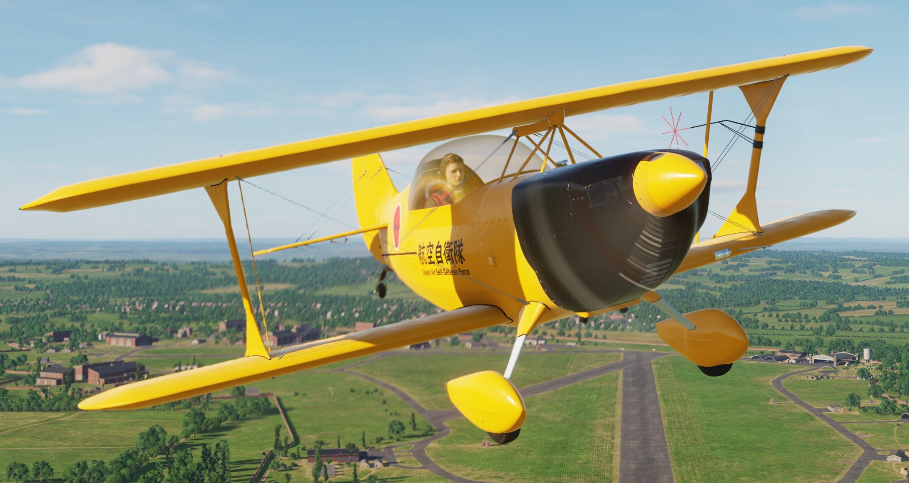 Christen Eagle II "Yellow" Japan Air Self-Defense Force #10