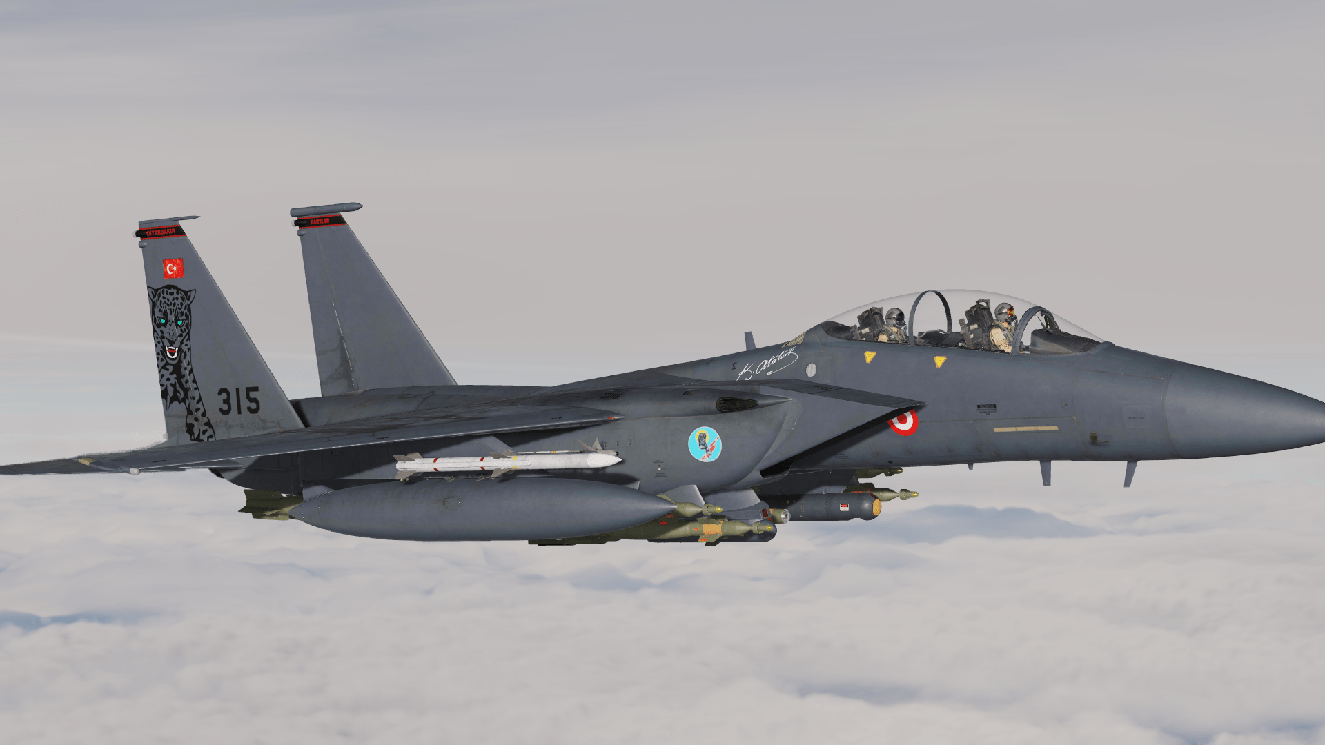 F-15E TurAF 181st Pars (Leopards)