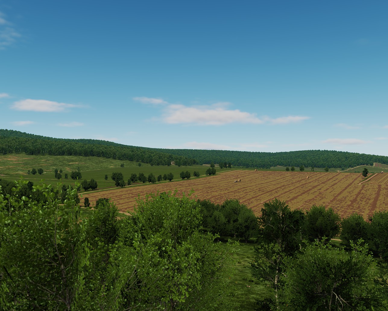 Use for Smart Green LUT preset