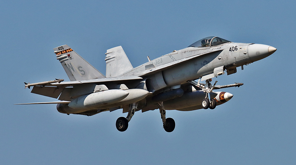 Operation: Pin Prick (F/A-18C)