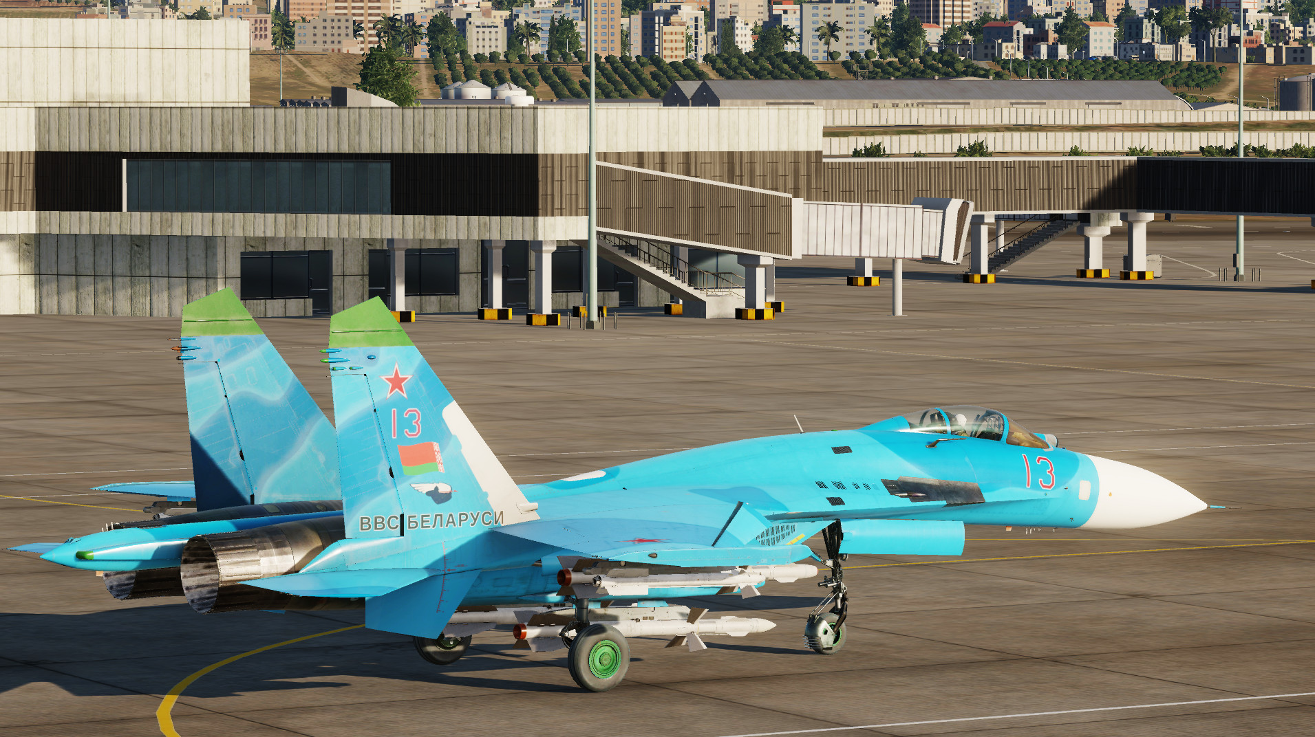 Belarusian Air Force (Su-27) (Fictional)