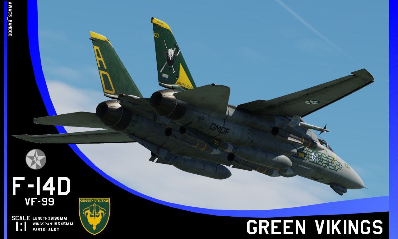 Ace Combat - Fighter Squadron 99 "Green Vikings" F-14