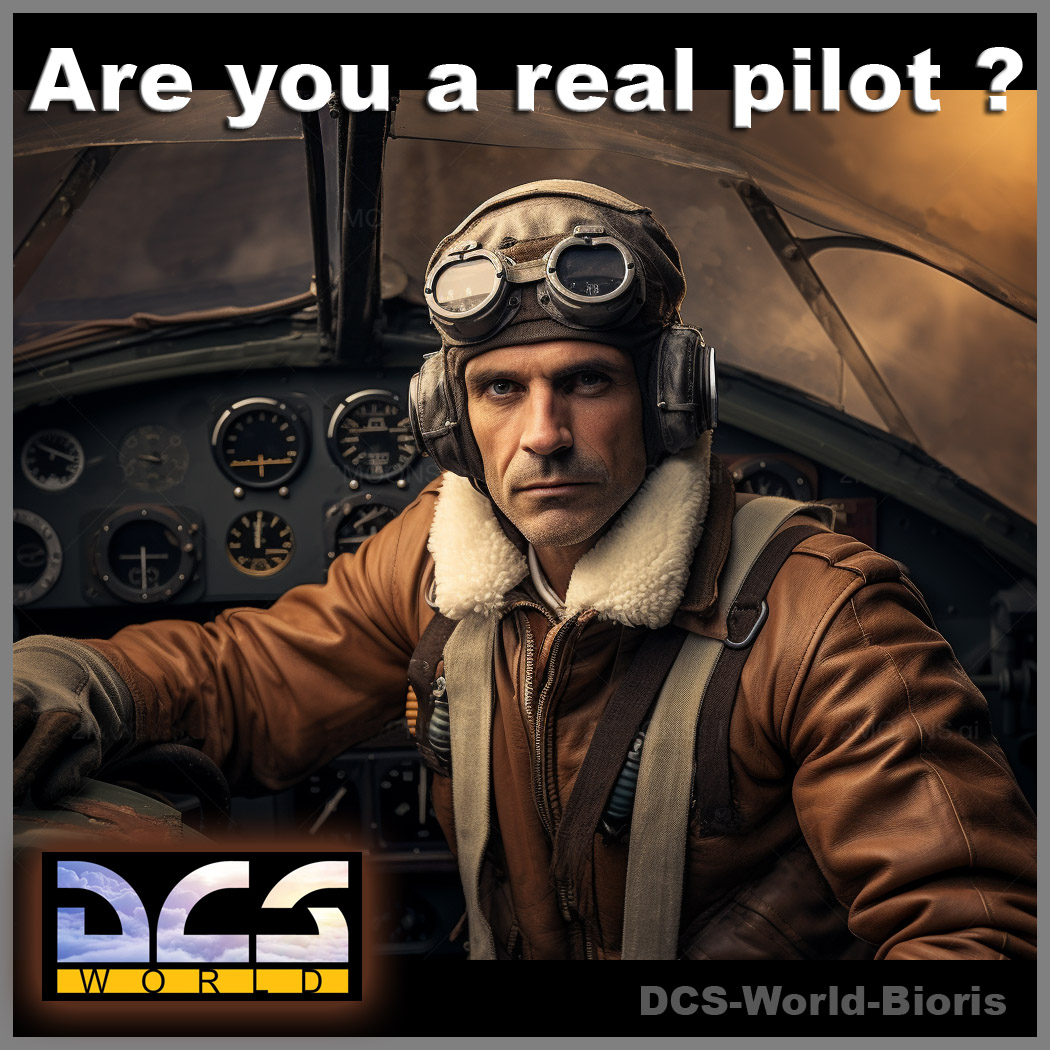 Are you a real pilot ? - Mustang - Syria