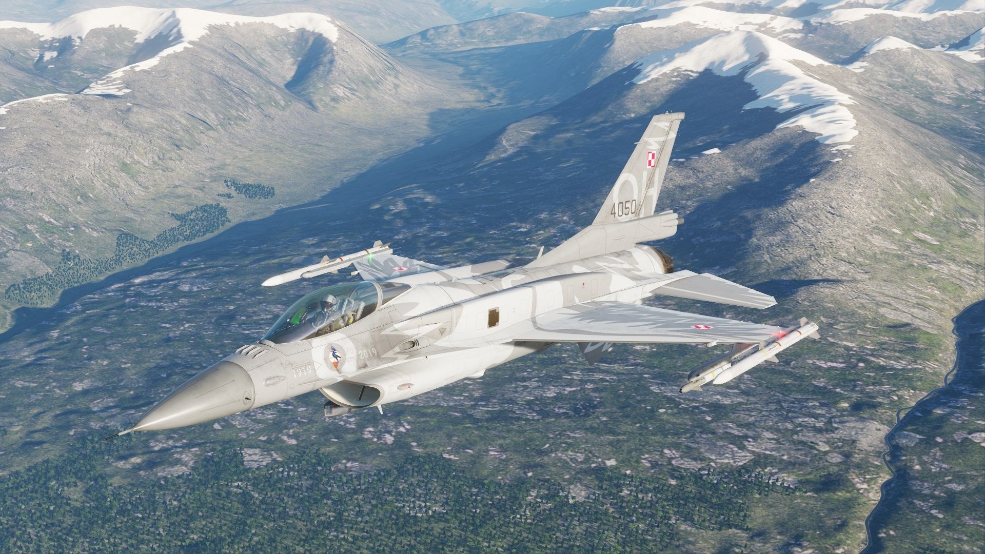 Polish Air Force QH Raven 