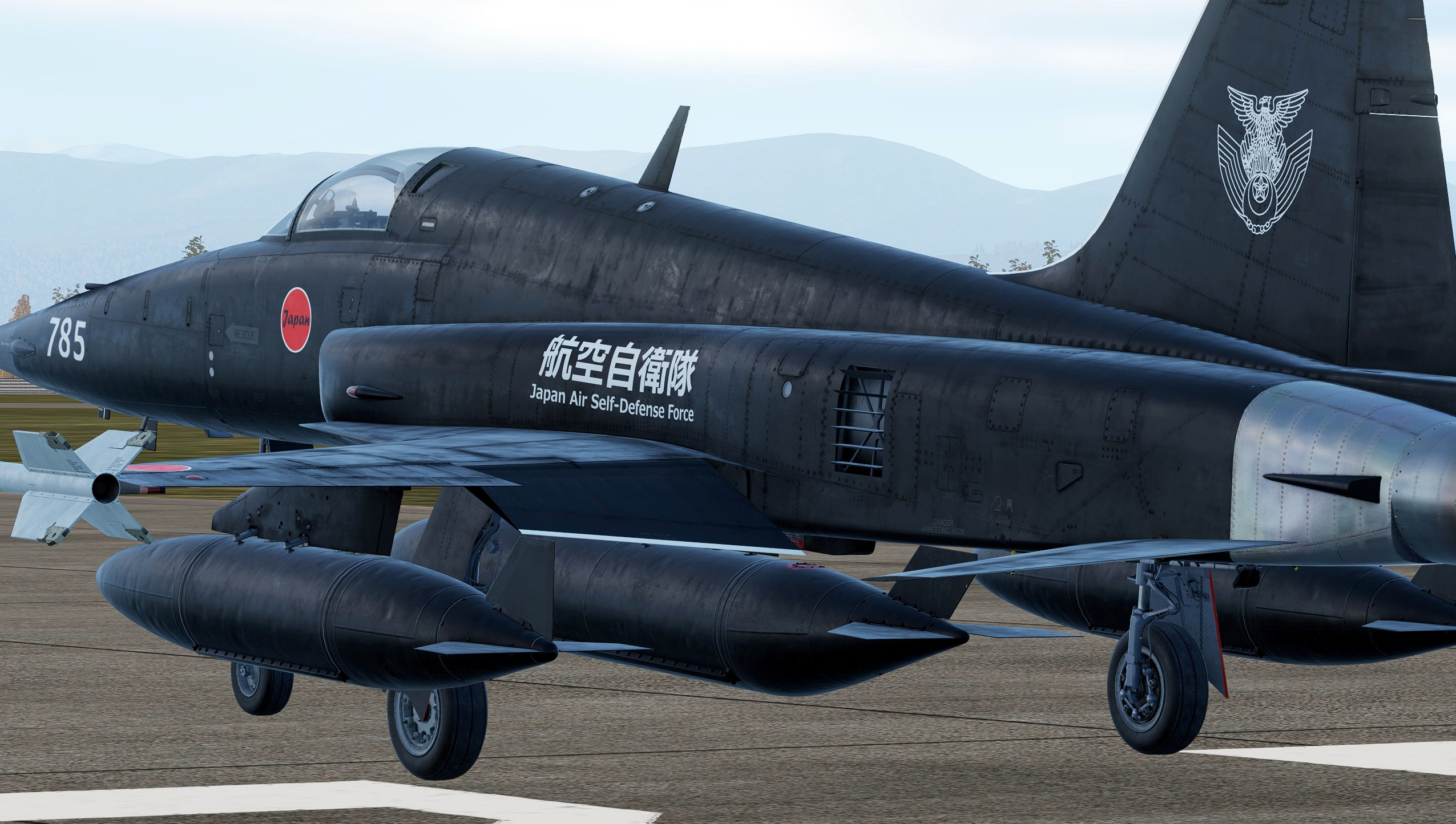 F-5E Remastered "Black" Japan Air Self-Defense Force #11
