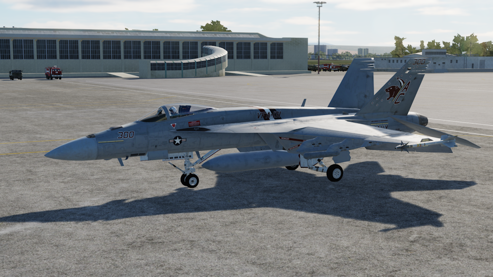 CJS Super Hornet v2.4 VFA-131 Echo