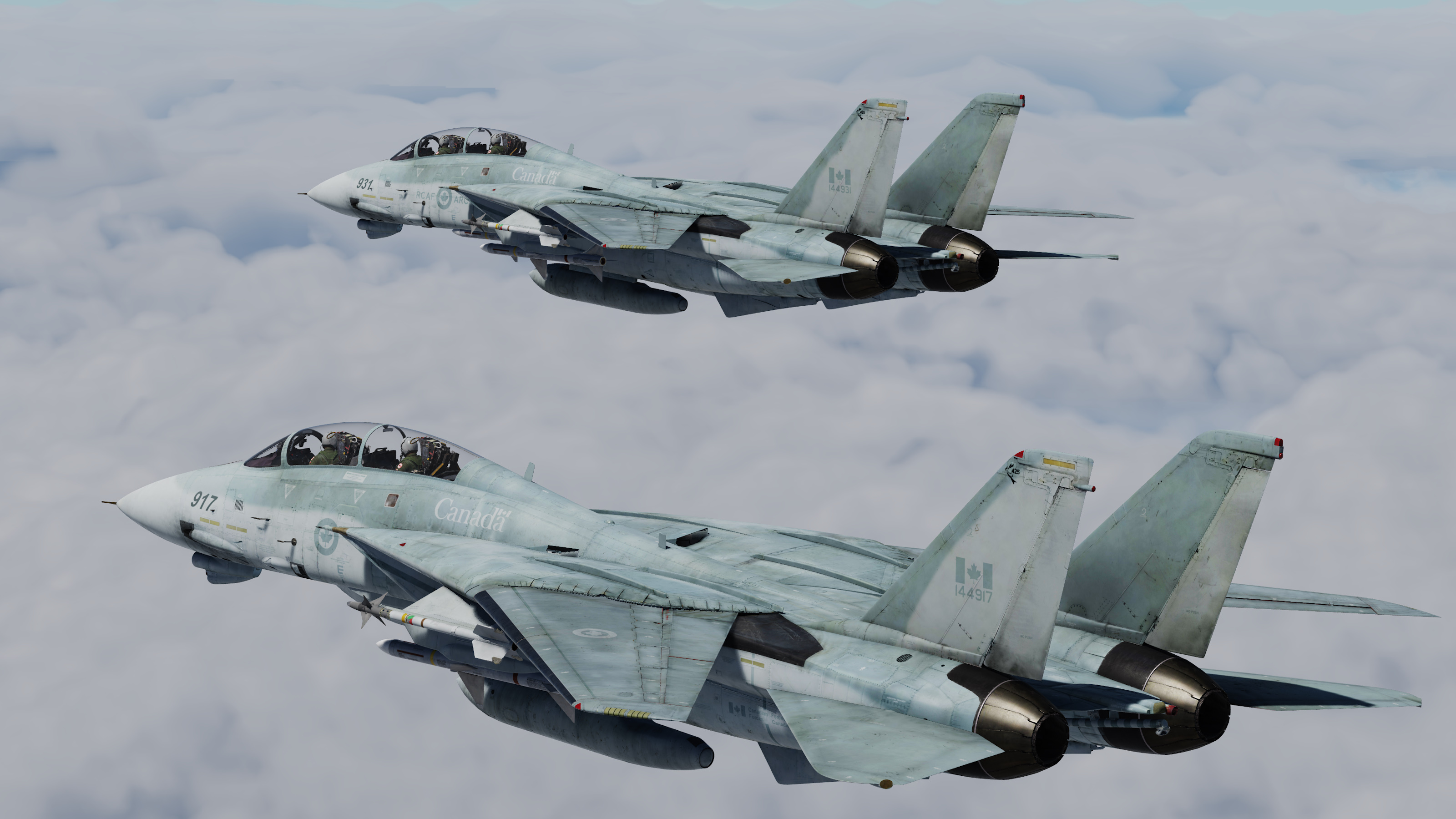 RCAF CF-14 Livery (Fictional) V2.4