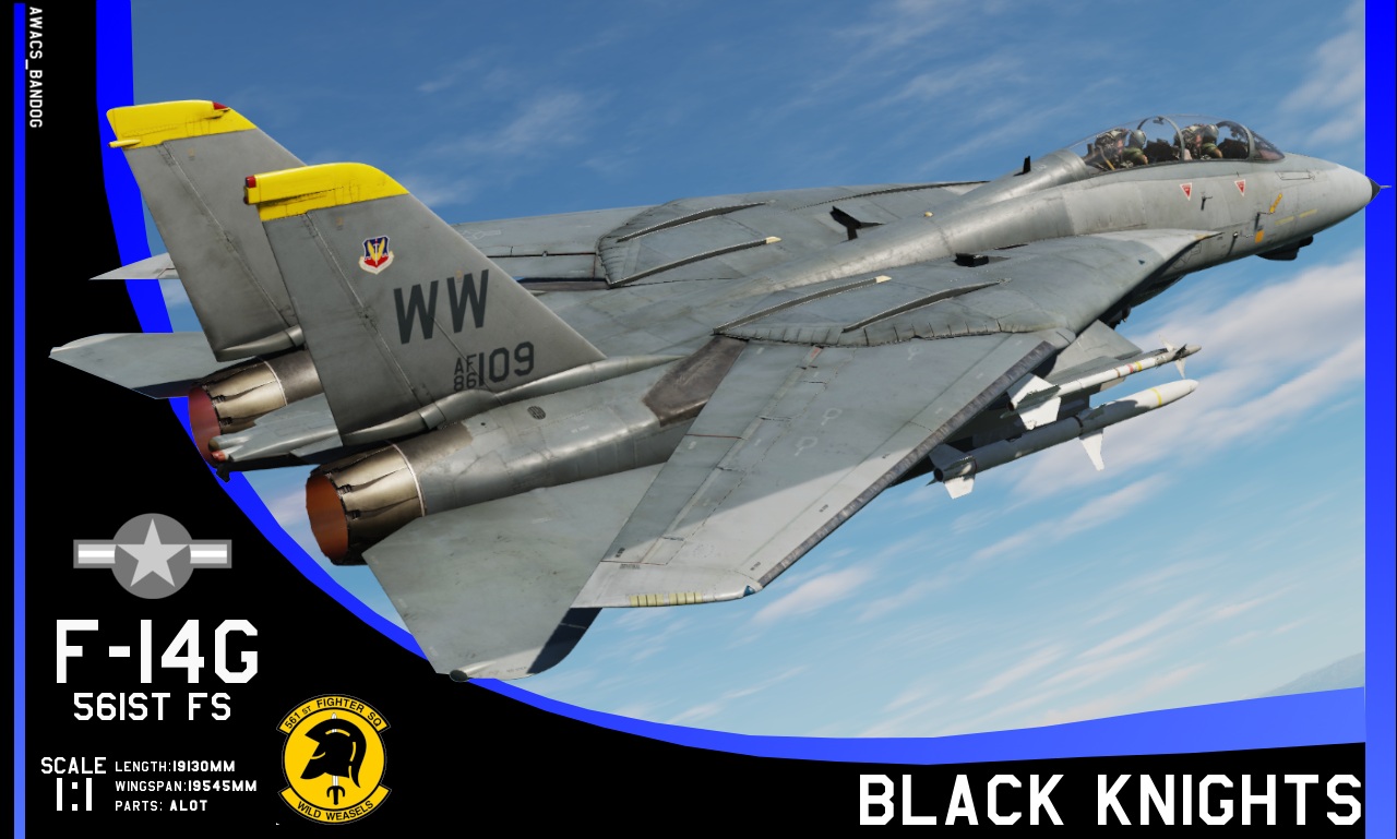 561st Fighter Squadron “Black Knights” F-14G