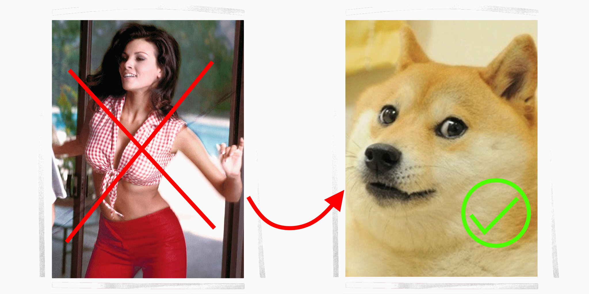 [Bringing A Dog To A Dogfight] A-4E-C cockpit pin-up photo but It's doge