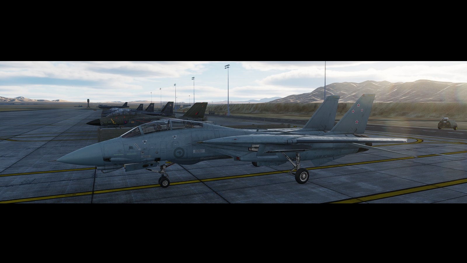 F-14B - RNZAF - Grey