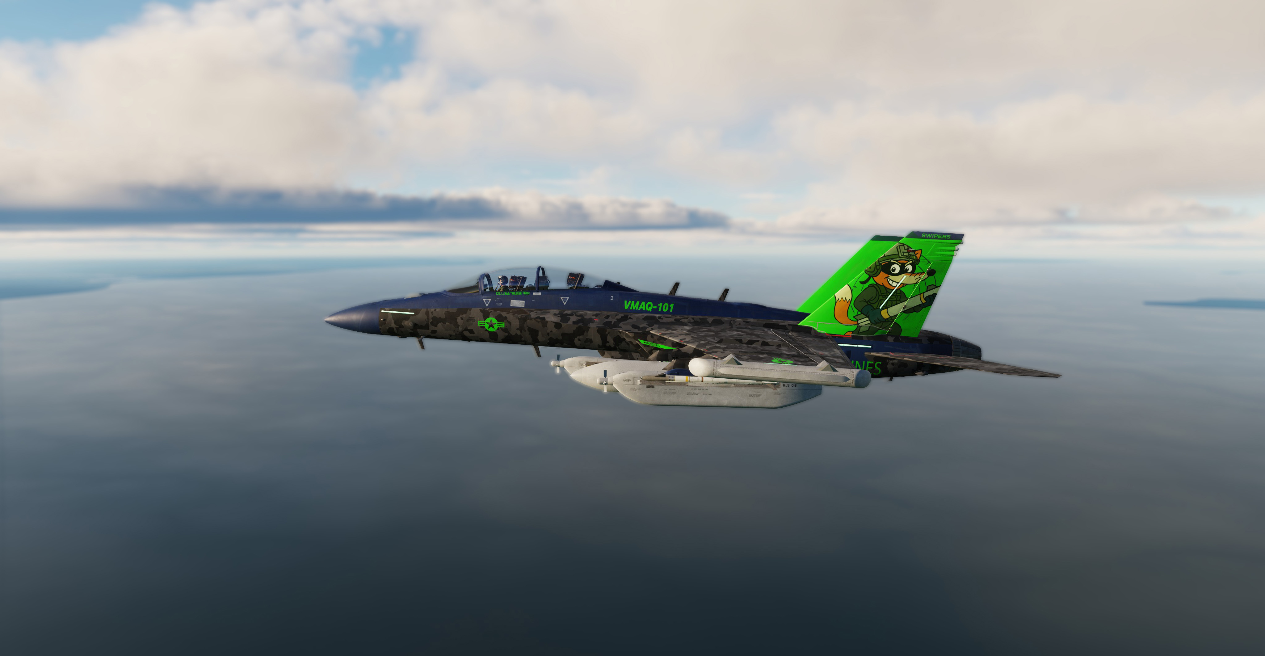 15th ADS Wet Boys, VMAQ-101 Swipers, EA-18G Growler