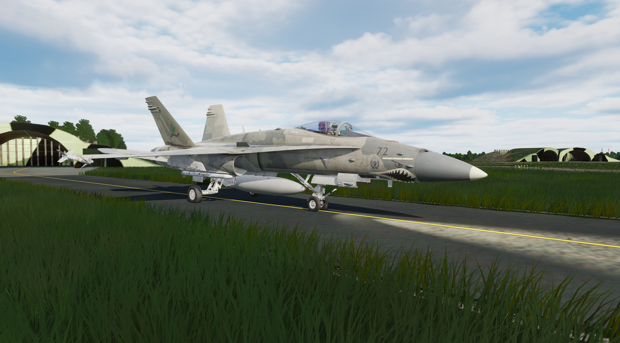ACE COMBAT - F-18C - Nordennavic Royal Air Force - Sqn "Languedoc" V1 SPA 38 "old style"