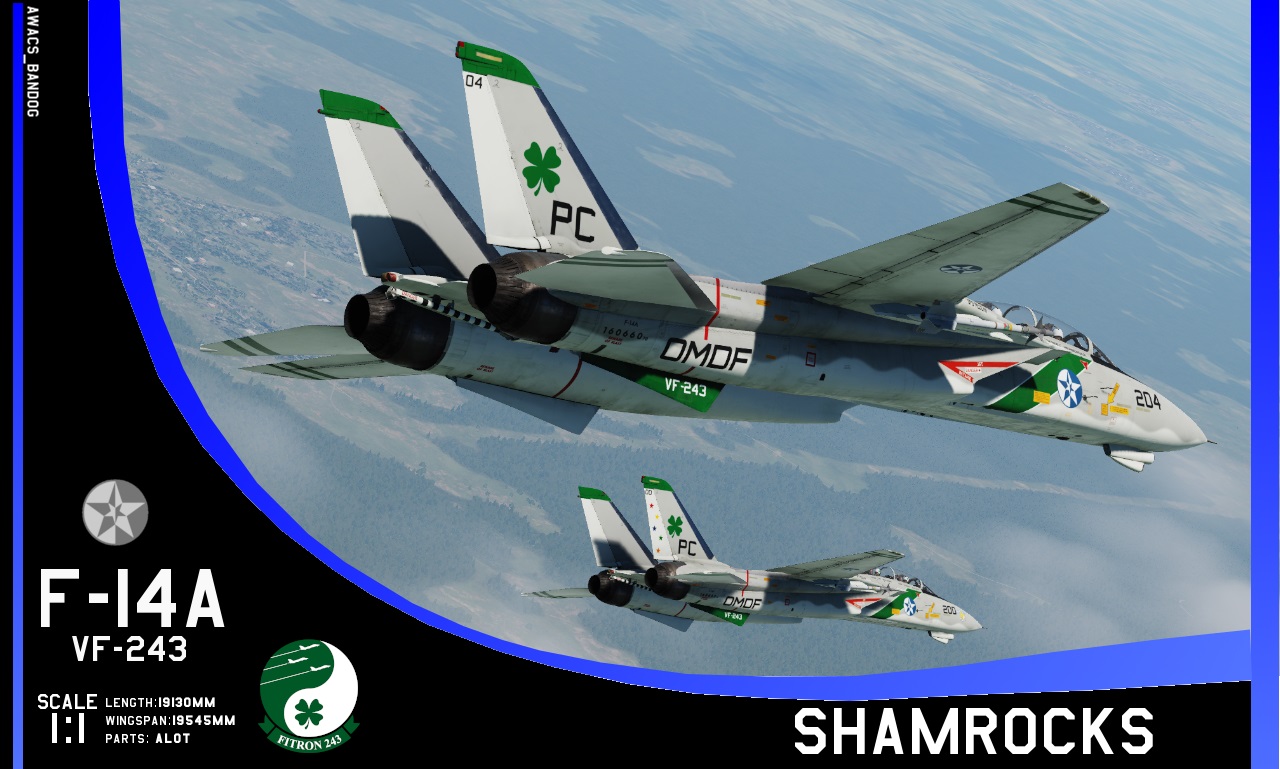 Ace Combat - Fighter Squadron 243 "Shamrocks" 1976