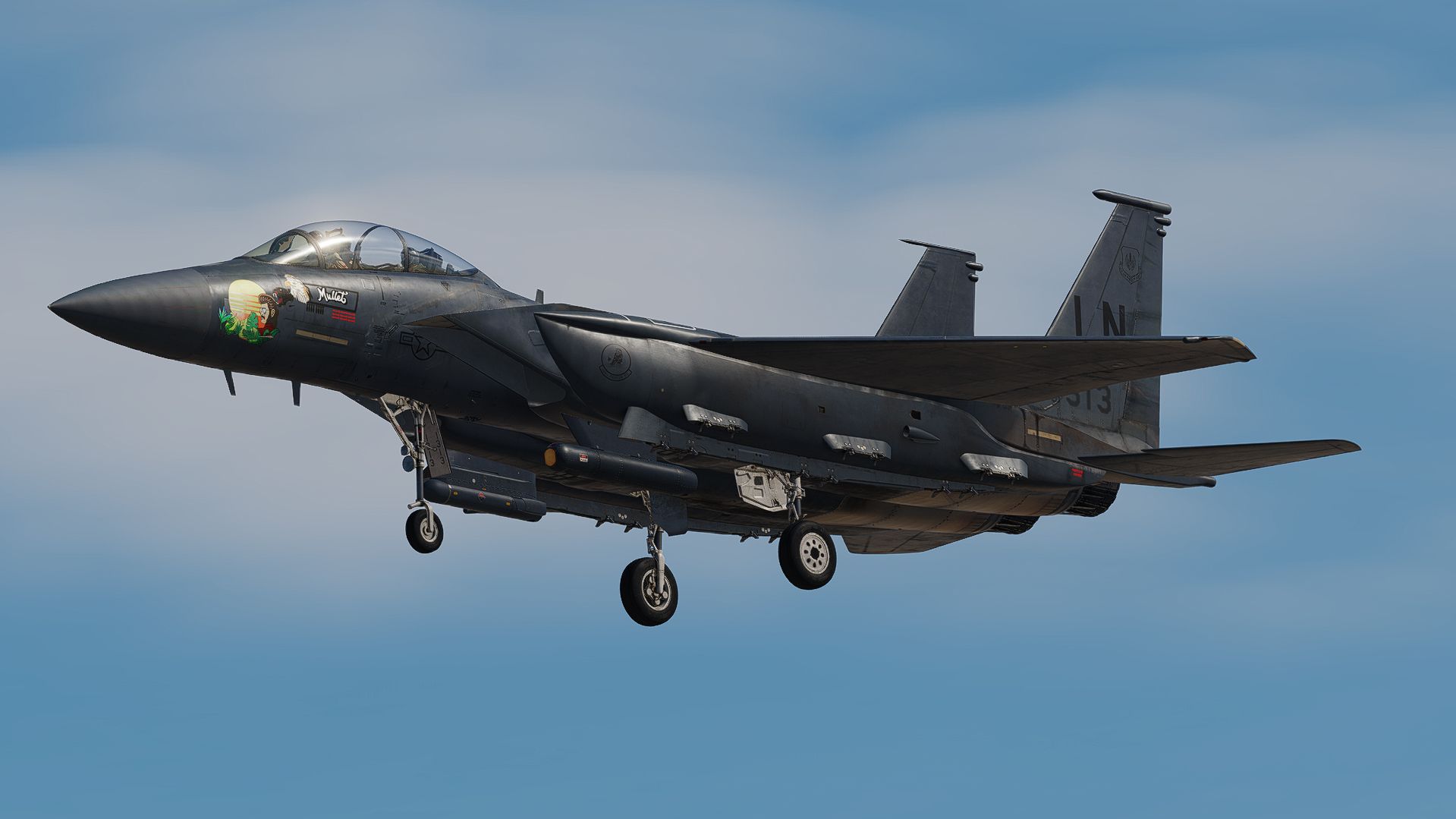 USAF 91-0313 "MULLET" - 494th "Panthers"  - CETCOM